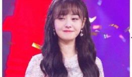 吃瓜娱乐圈郑爽,娱乐圈的瓜田传奇